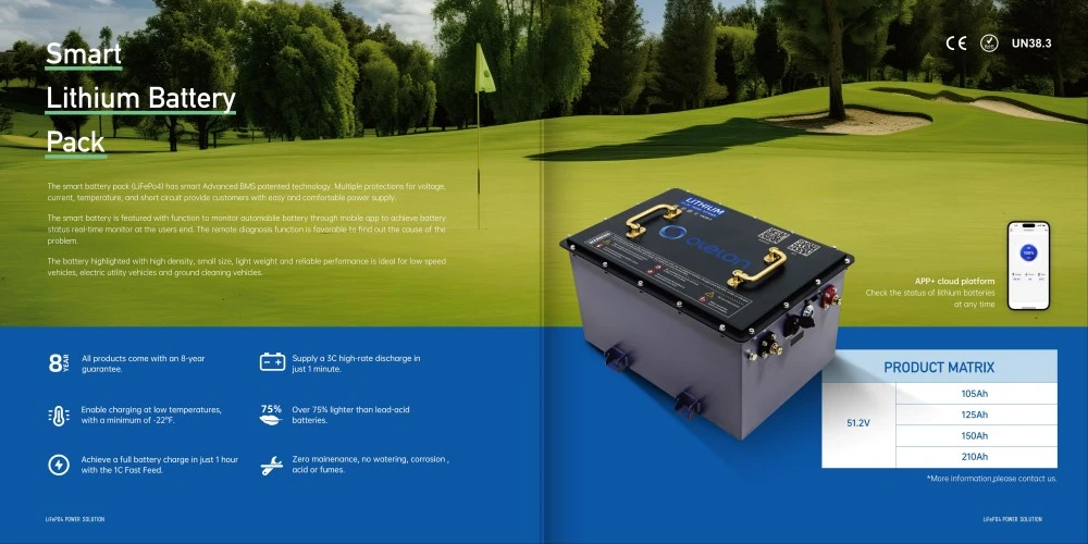 51 2v 48v 210ah Lifepo4 Golf Cart Lithium Battery